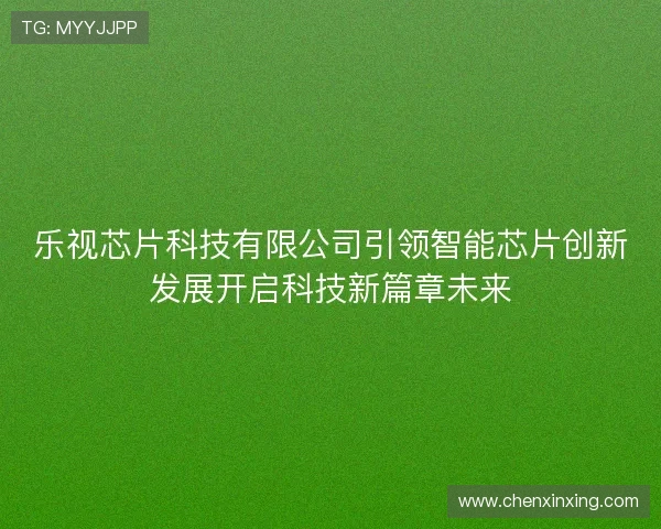 乐视芯片科技有限公司引领智能芯片创新发展开启科技新篇章未来